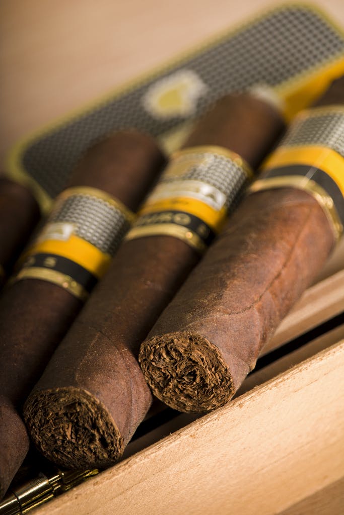 Close-Up Shot of Cigars